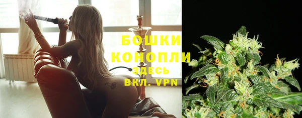 spice Зеленодольск