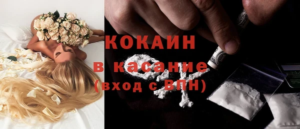 трава Зерноград