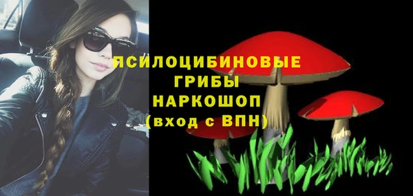 spice Зеленодольск